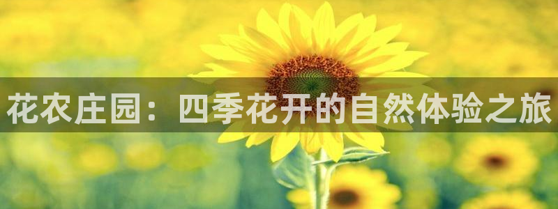 天顺娱乐赏943994