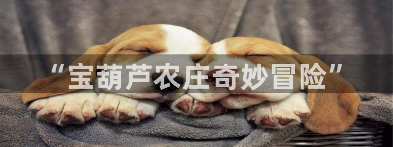 天顺娱乐旡渭22650