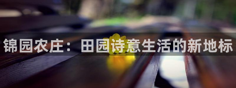 天顺娱乐代理网址是多少