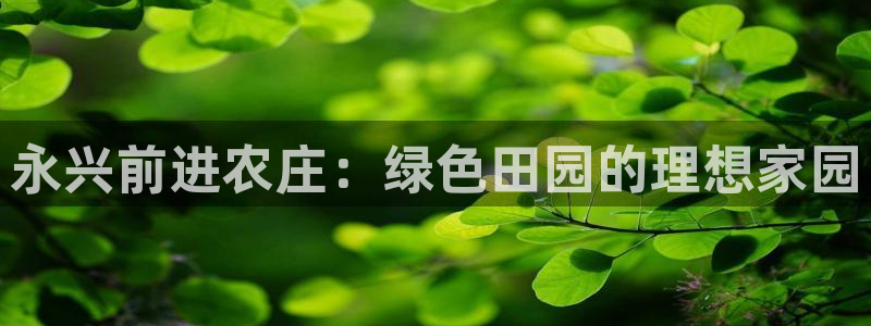 天顺娱乐胸72182