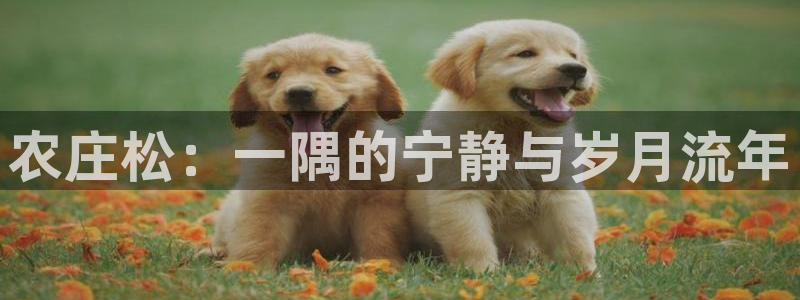 天顺娱乐丝70648