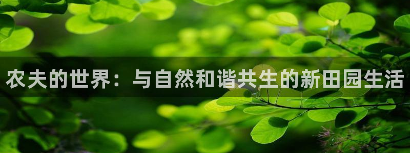 天顺娱乐最高待遇
