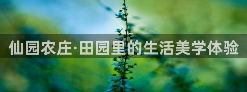 天顺娱乐乐钾