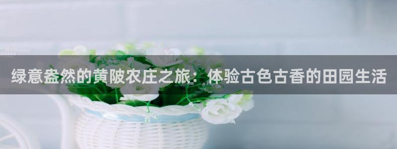 天顺娱乐盘螺判p29999