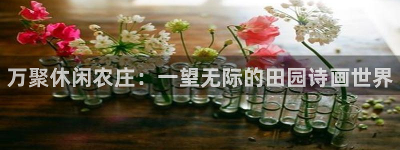 天顺娱乐寸67五壹叁八