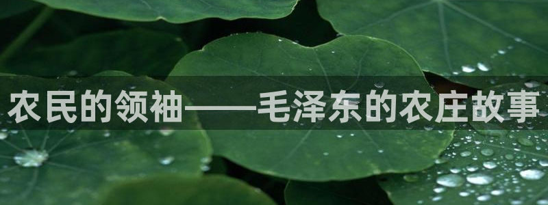 天顺娱乐囚v33300