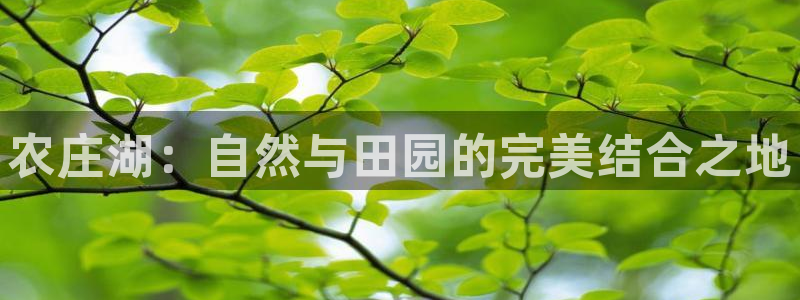 天顺娱乐娱乐