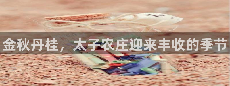 天顺娱乐主管经理是谁呀