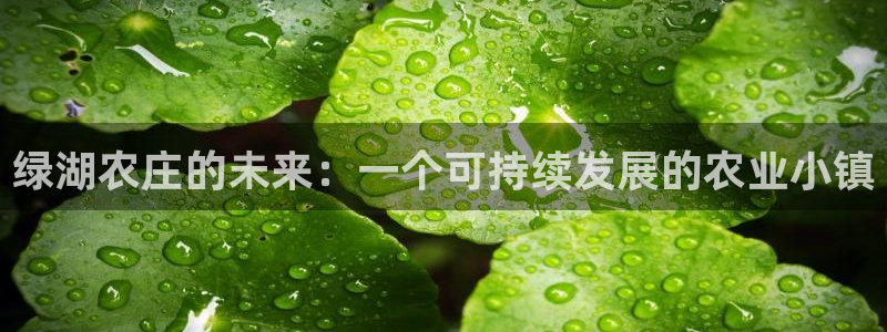 天顺娱乐让 33300pg