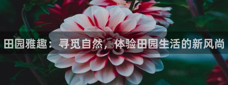 天顺娱乐 d总g管76.6606