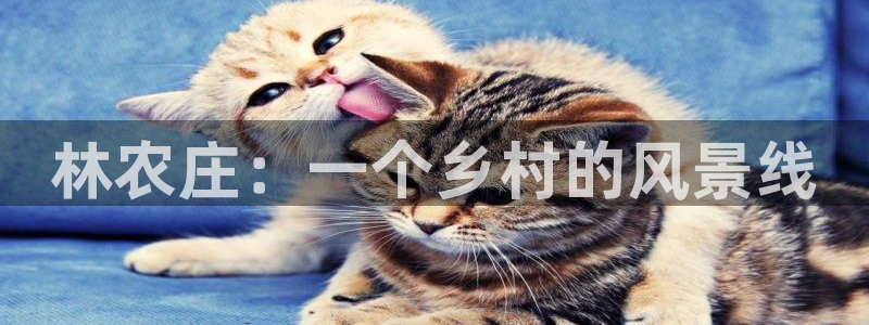 天顺娱乐刻72182