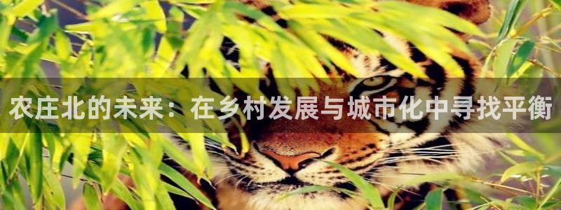 天顺娱乐糸疋55312