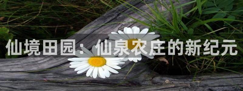 天顺娱乐团74ooo5刮陶