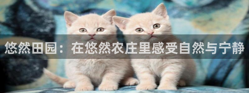 天顺娱乐陶18 888