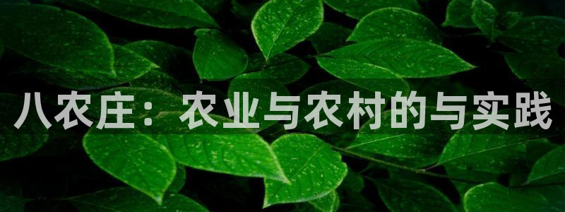 天顺娱乐钾 66 6