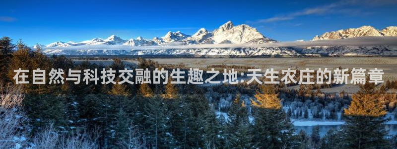 天顺娱乐台球