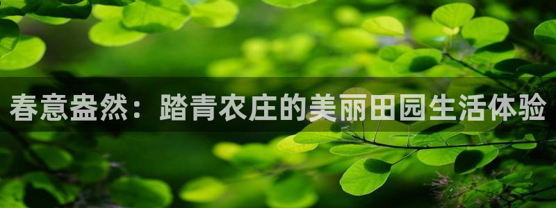 天顺娱乐直播间
