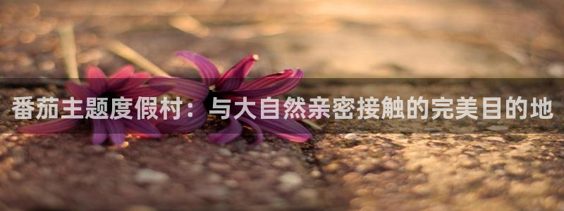 天顺娱乐q徽53339