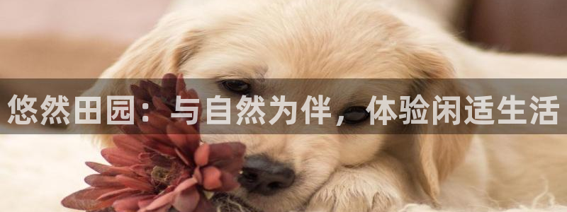天顺娱乐粘78778卧