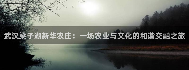 天顺娱乐厥78778卧