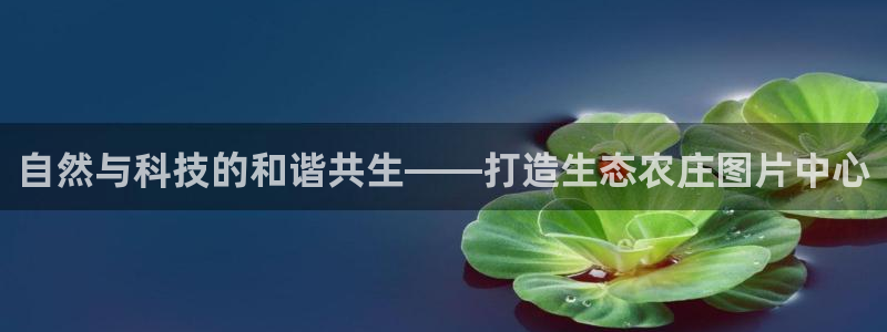 天顺娱乐讣943994