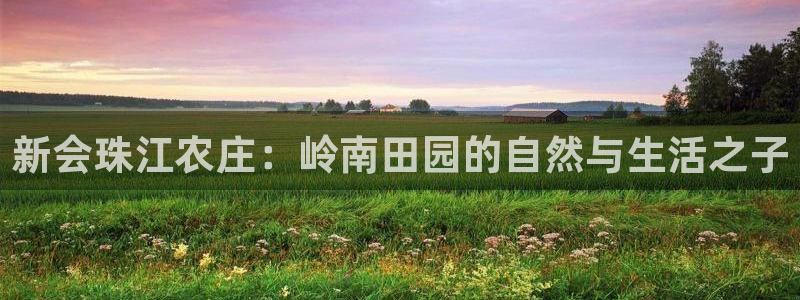 天顺娱乐气洁pg22650