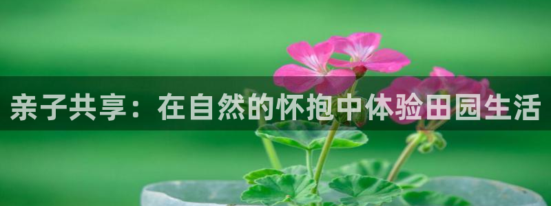 天顺娱乐舞厅在哪里