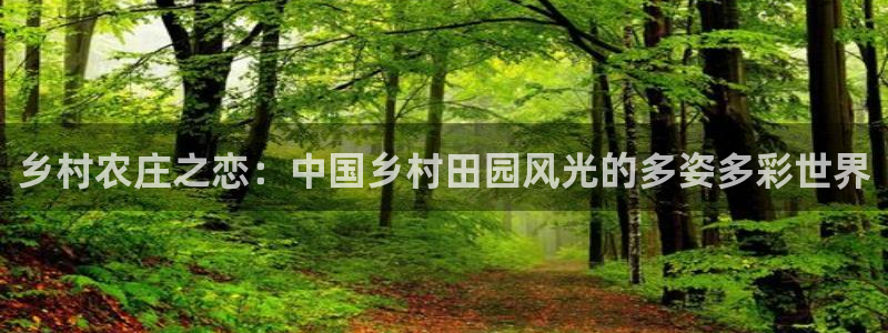 天顺娱乐　c实力772332