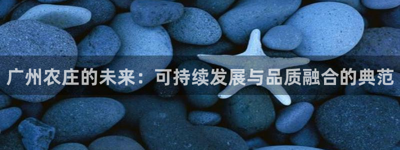 天顺娱乐股票代码