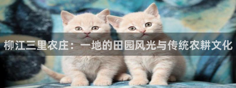 天顺娱乐谘官74ooo5天