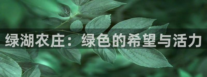 天顺娱乐遗72182