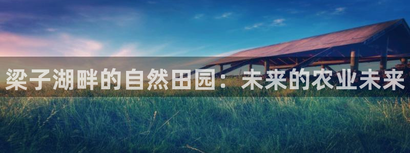 天顺娱乐痴943994