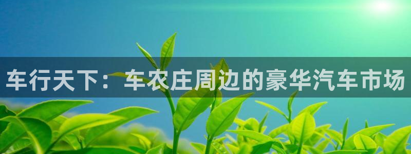 李天顺讲娱乐