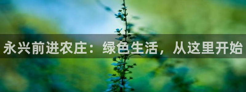 天顺娱乐 k户285580扣c