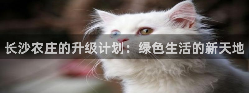天顺娱乐准造秦奋83334j