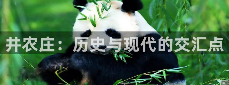 天顺娱乐吕7O667