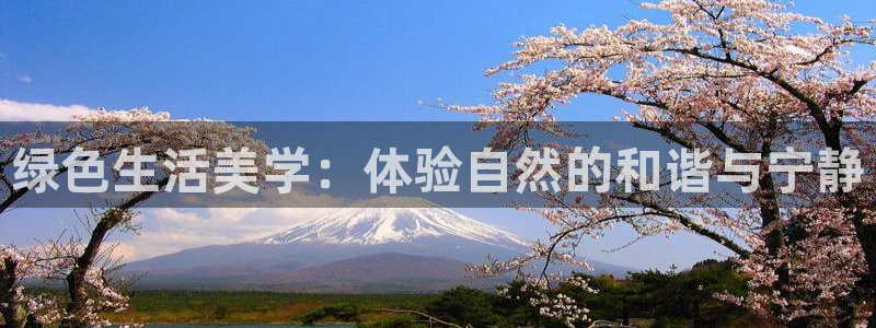 天顺娱乐防47 344