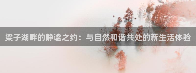 天顺娱乐 d总g管76.6606