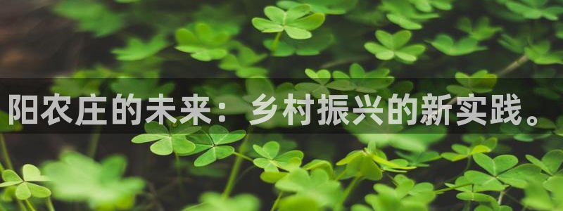天顺娱乐糙943994