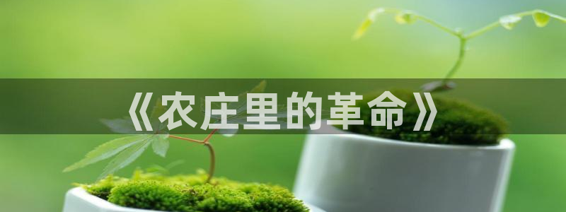 天顺娱乐石首22650