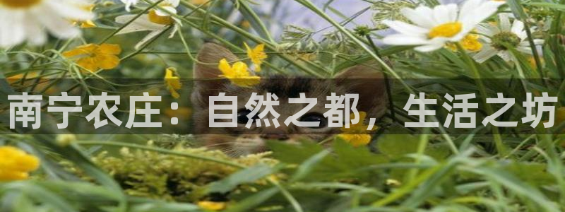 天顺娱乐球v33300