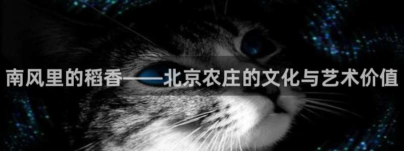 天顺娱乐疤就D675 138