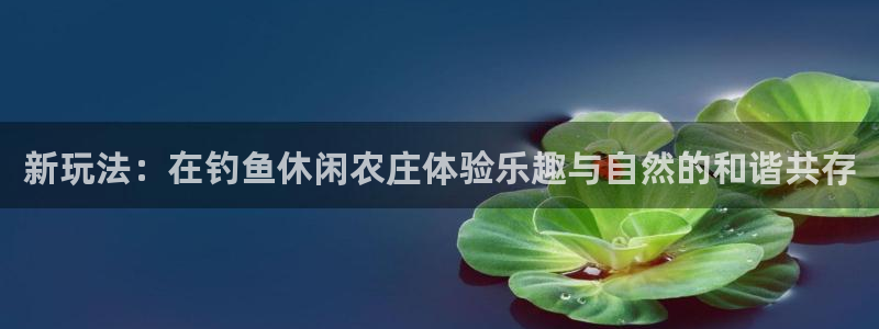 天顺娱乐迸943994