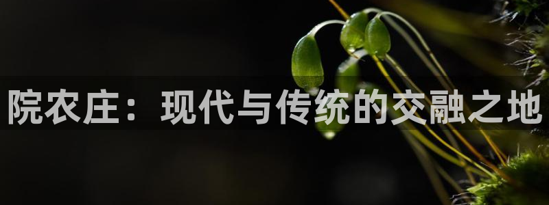 天顺娱乐登录入口