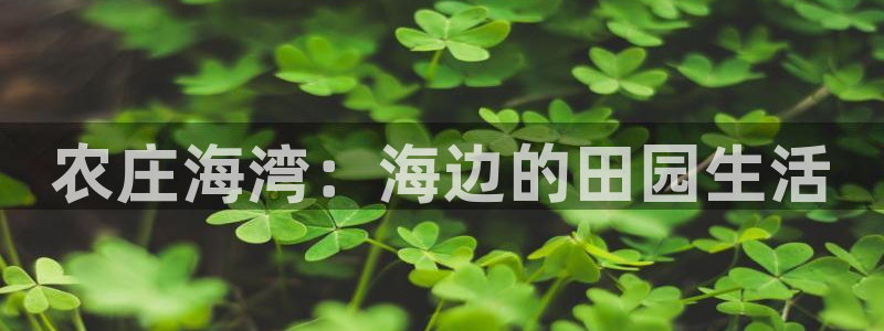 天顺娱乐普呐70 48