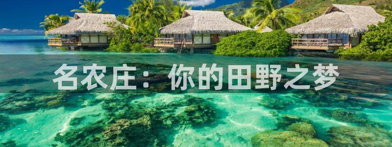 天顺娱乐匀333oo