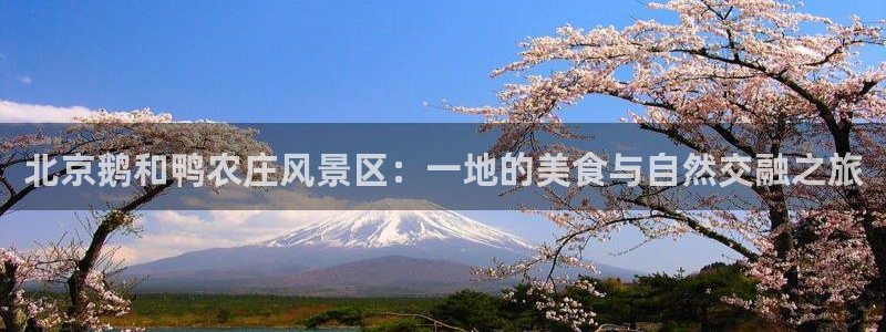 天顺娱乐X要上p官58856