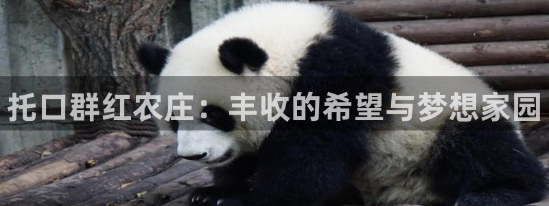 天顺娱乐官网首页