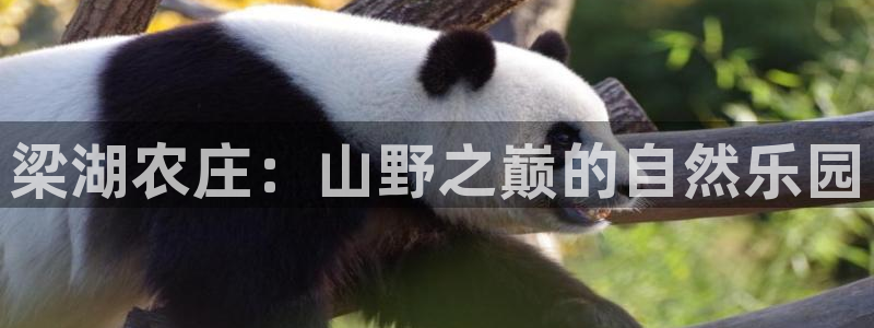 天顺休闲娱乐中心电话