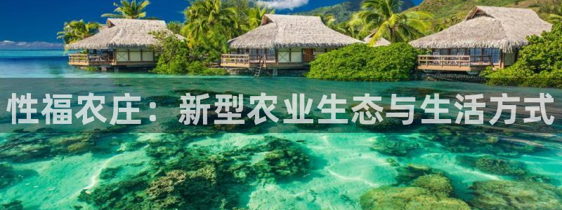 天顺娱乐负责人王环境优p29999